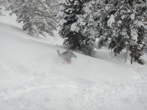 Skiing the pow!