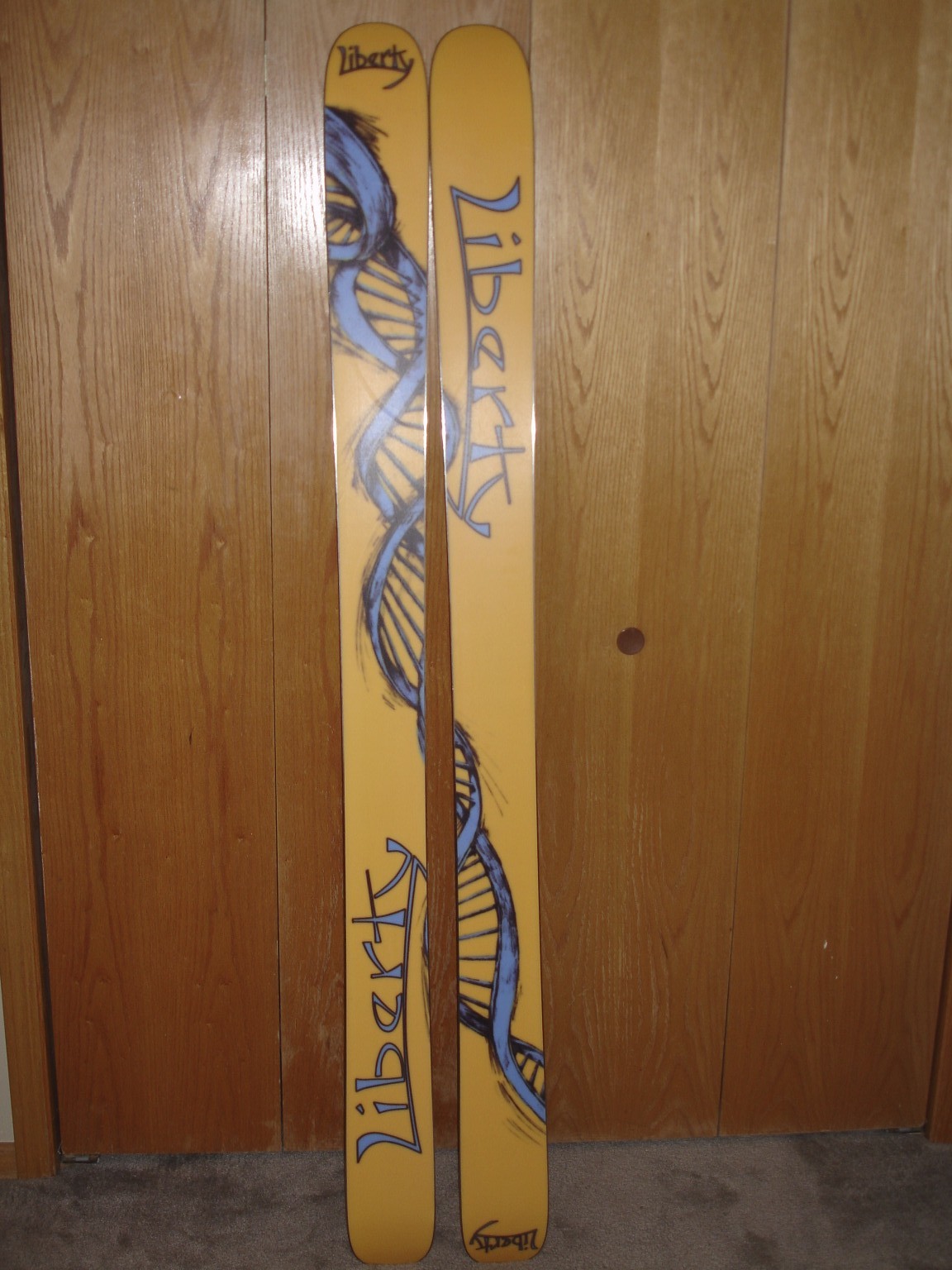 Skis fs