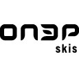 Skis