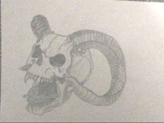 Skull Sketch