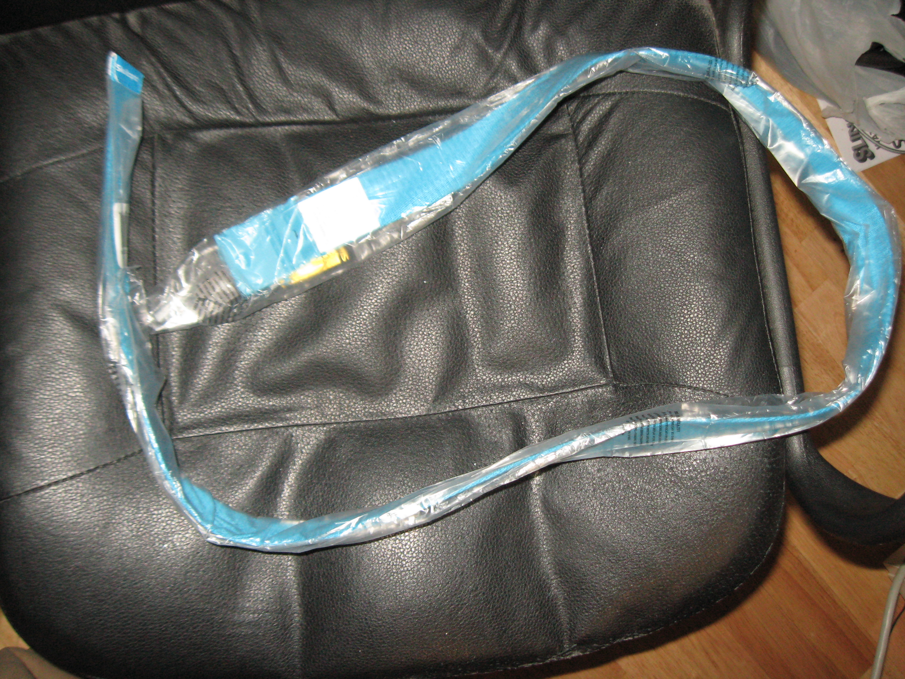 Skullcandy Cyan Web Belt