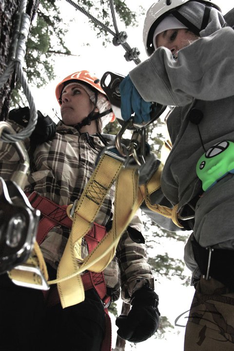 Skullyboom loves trees