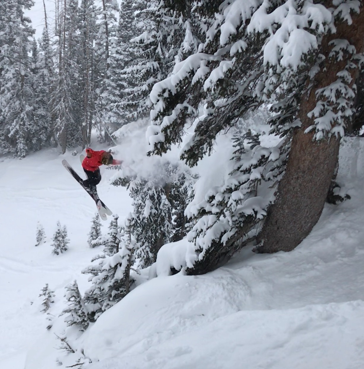 Small 3 exploring at Snowbird