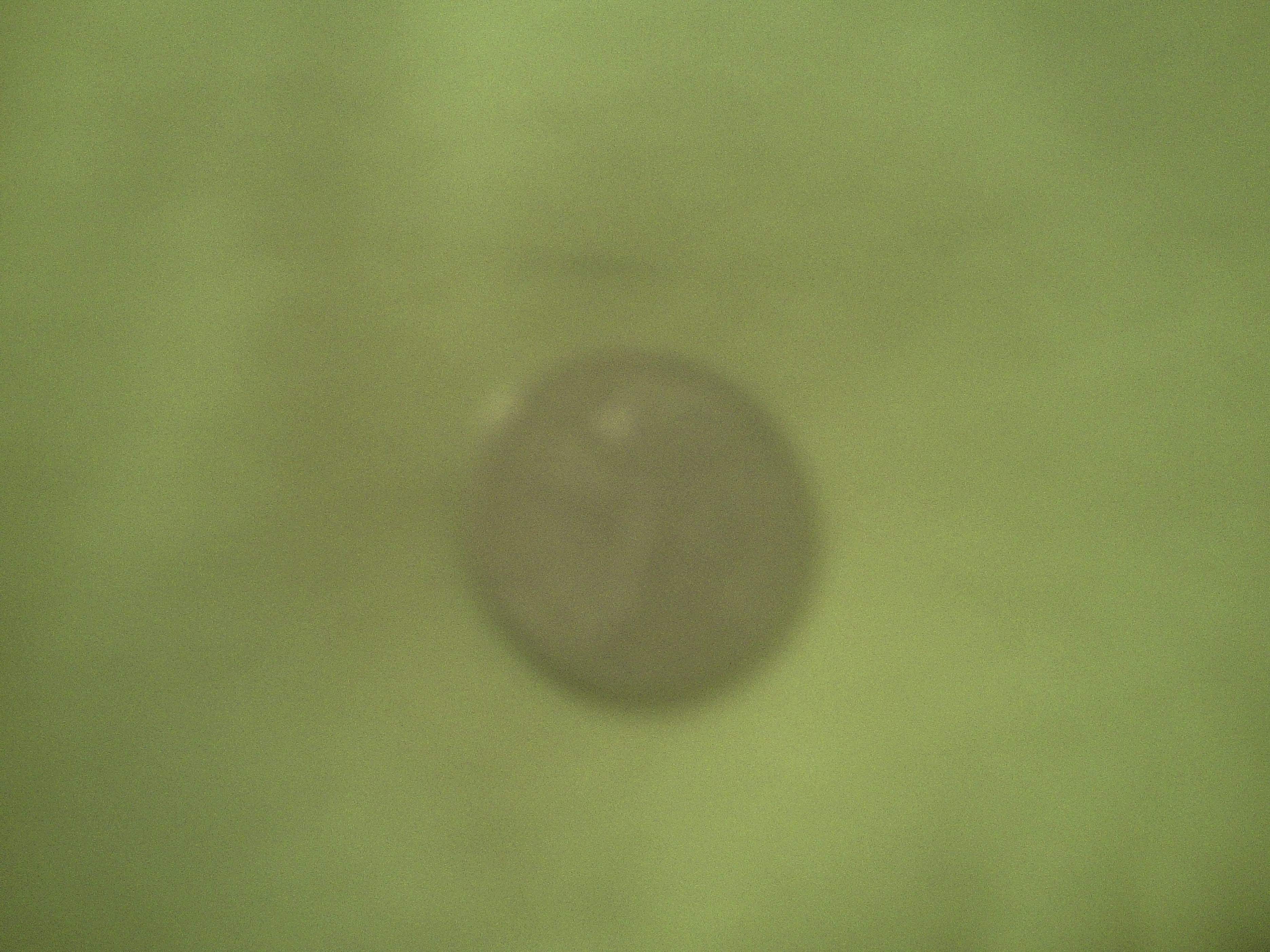 Small black mark on mojave