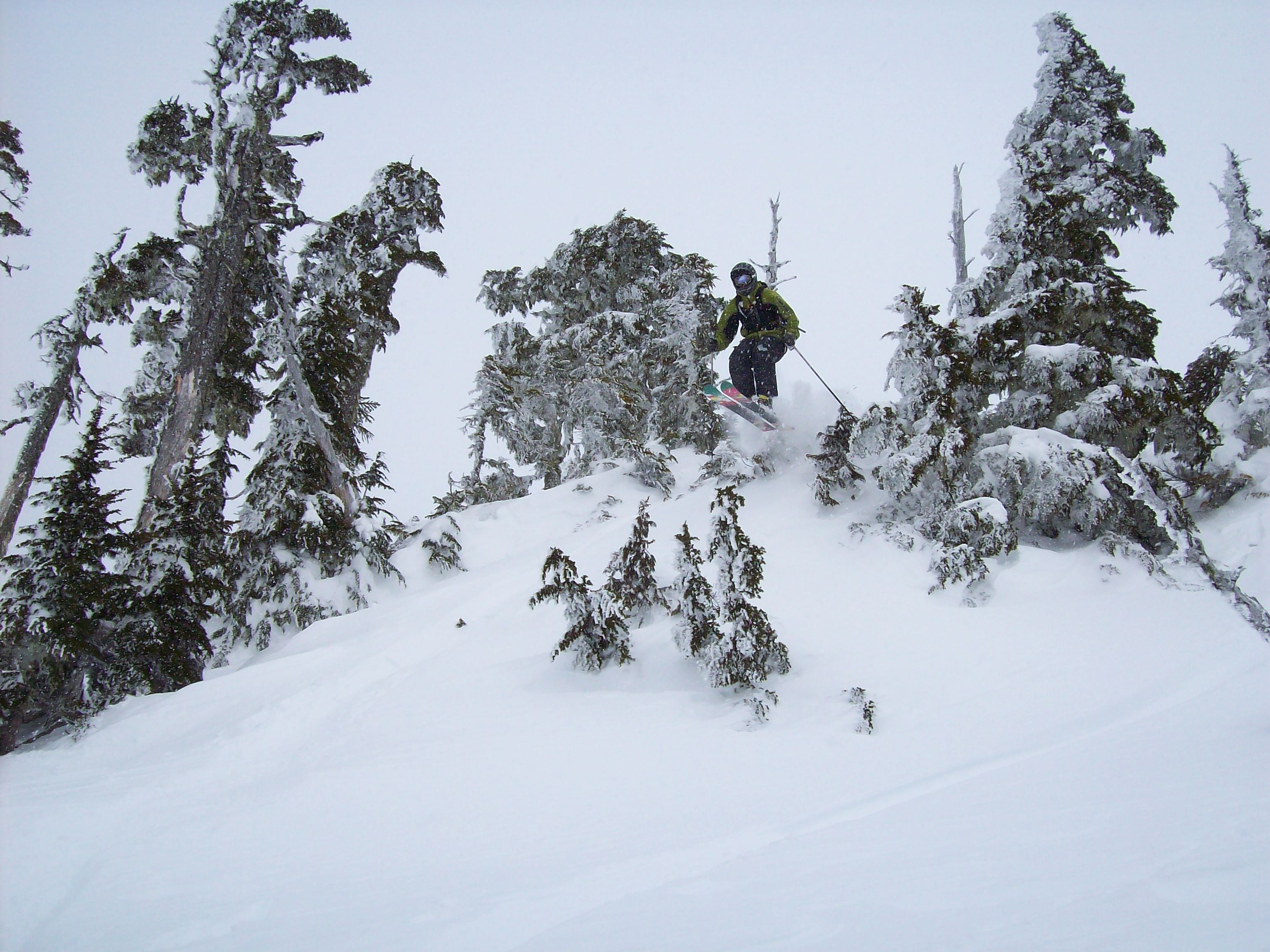 Small gap over some small trees