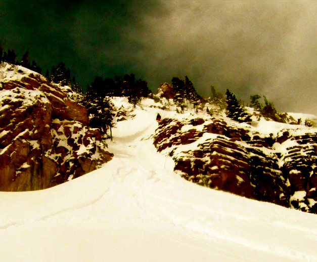 Smart Bastard On A Blue Bird Day