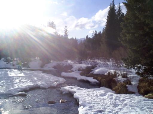 Snake river keystone