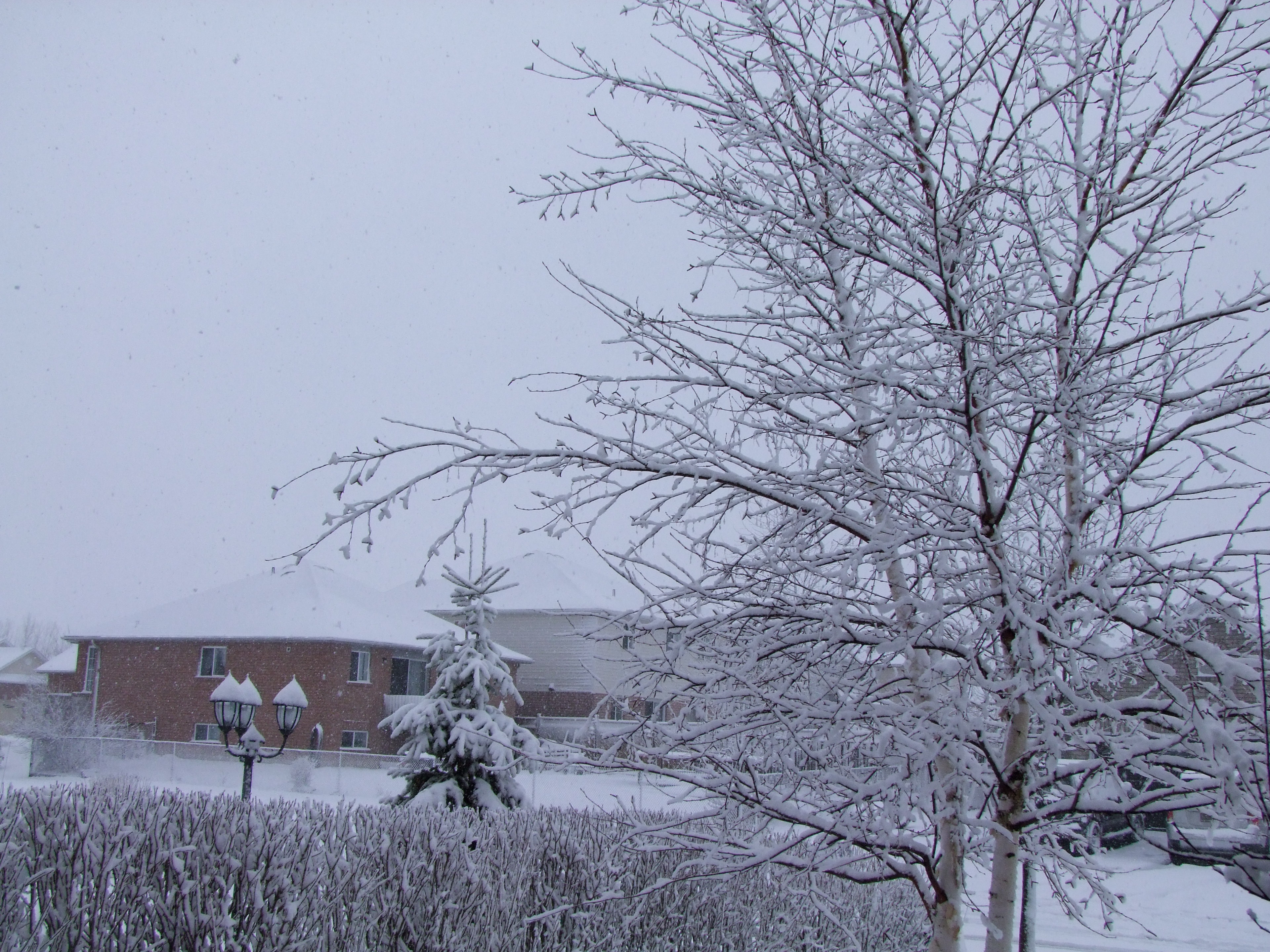 Snow in Ontario - 1 of 5