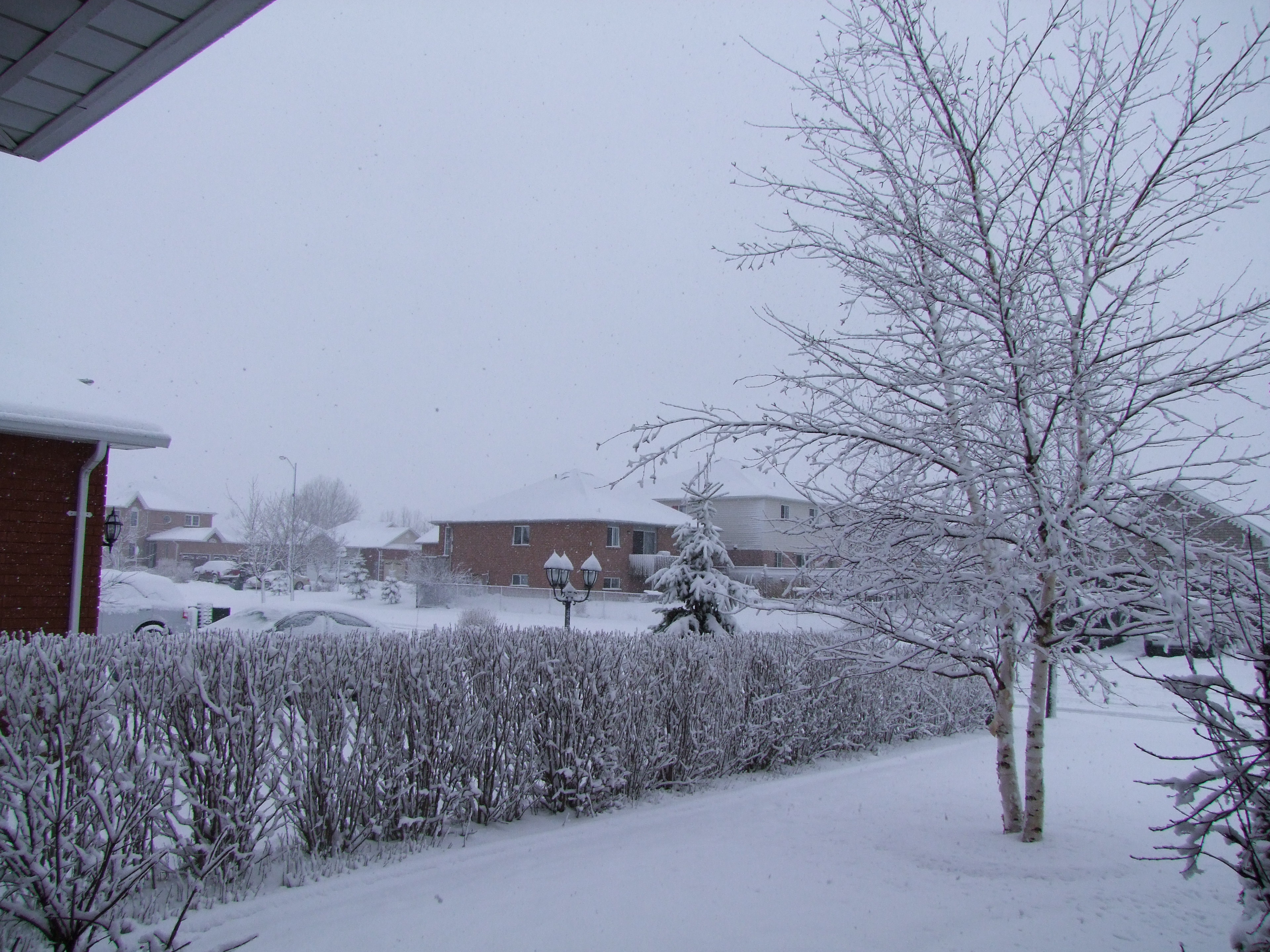 Snow in Ontario - 2 of 5