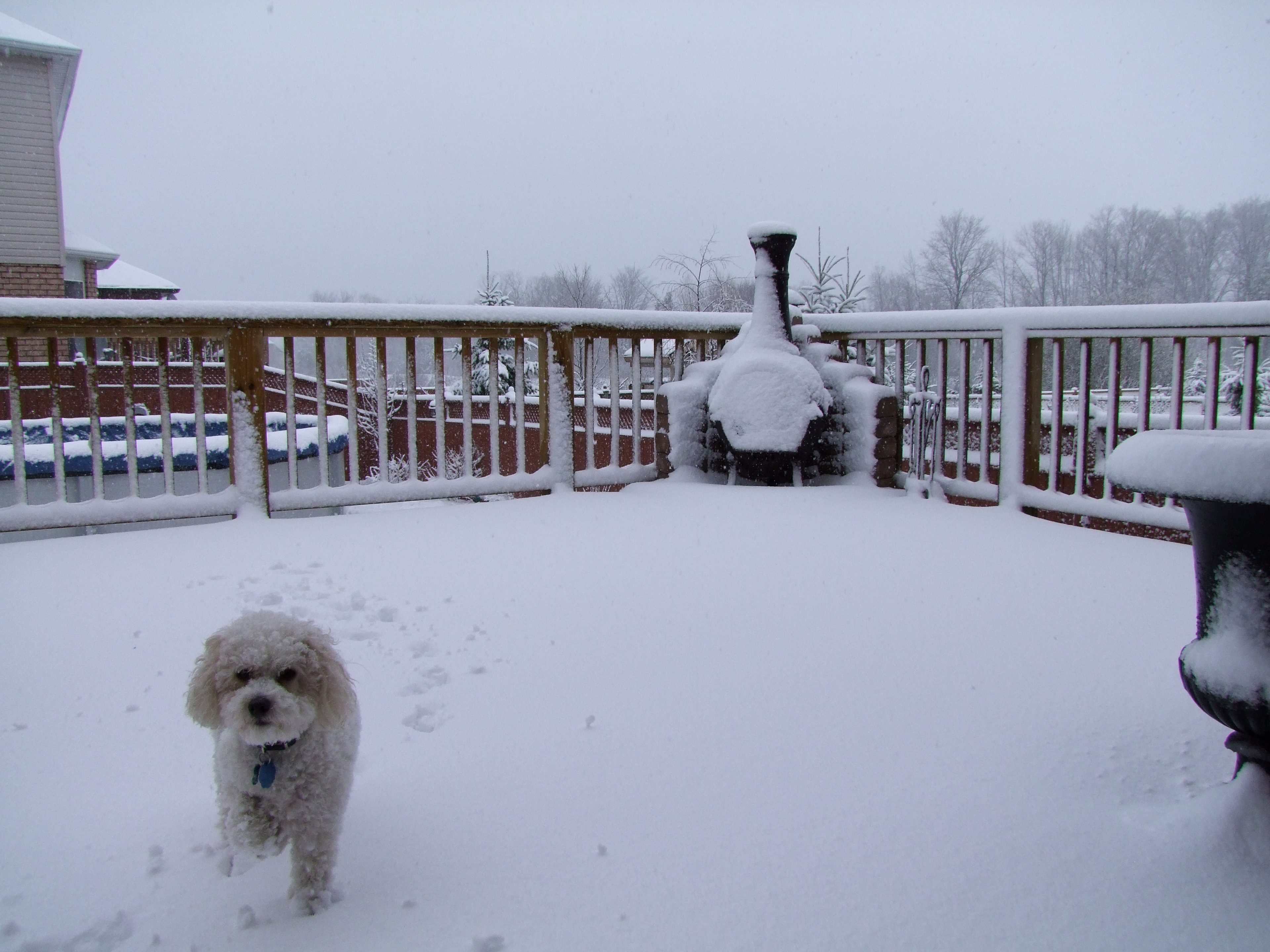 Snow in Ontario - 4 of 5