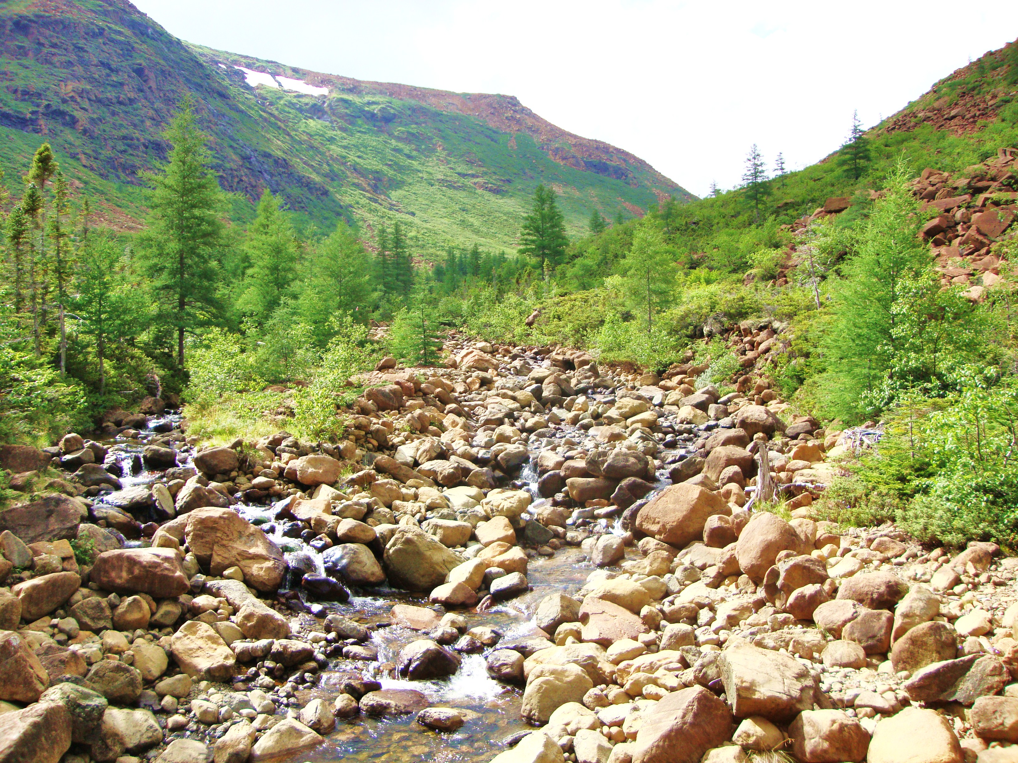 Snow in the Summer... In altitude