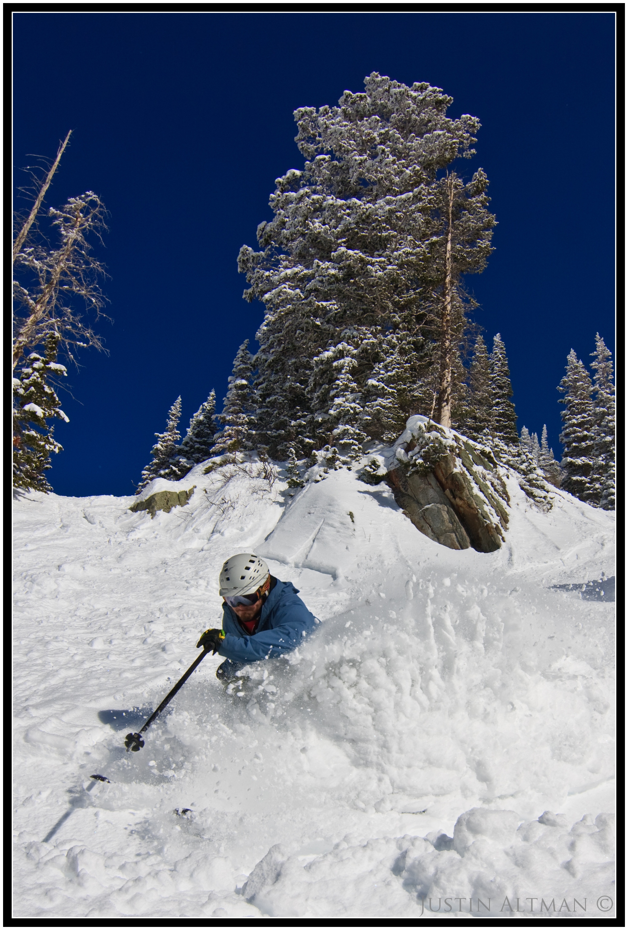 Snowbird Pow! #1