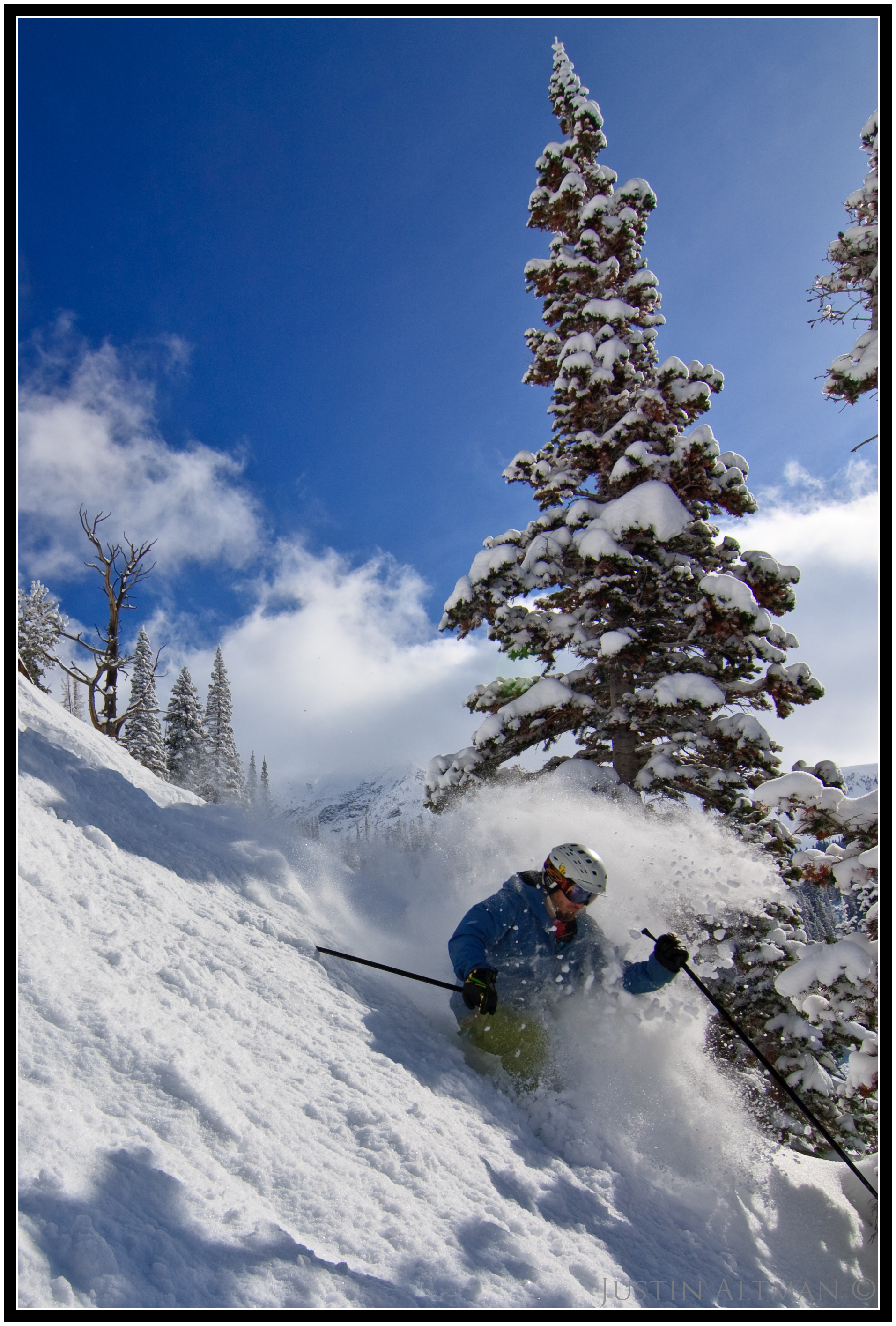 Snowbird Pow #2