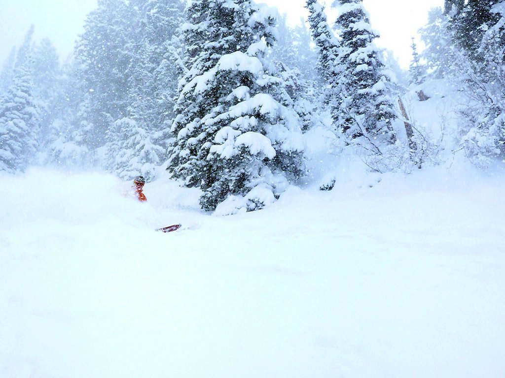 Snowbird pow day