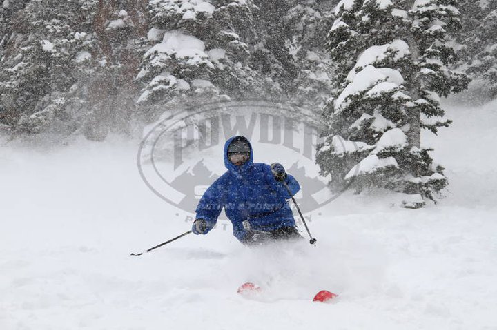 Snowbird Pow
