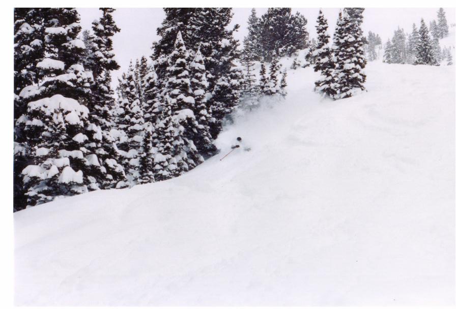 snowbird pow