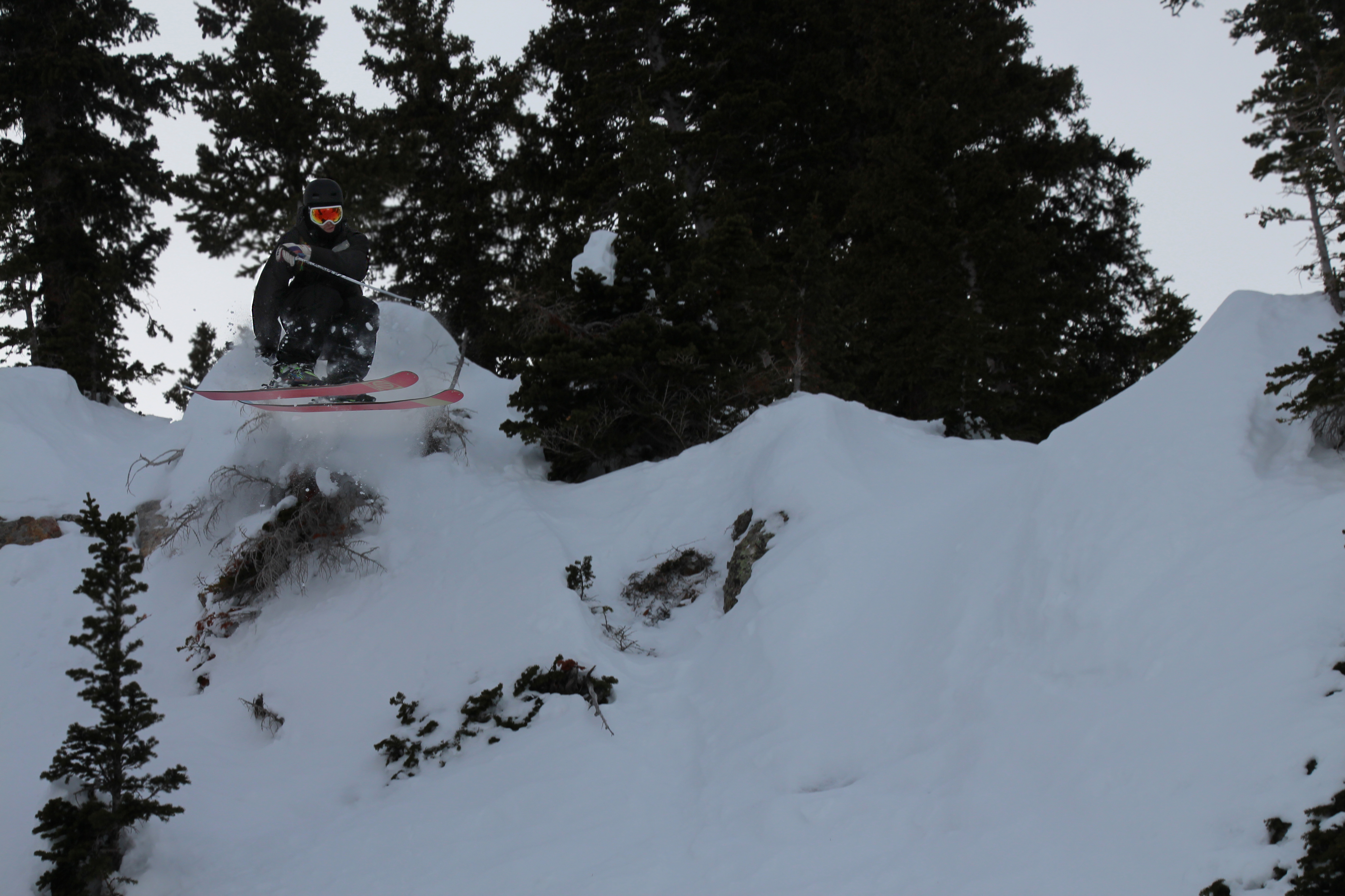 Snowbird Sidecountry