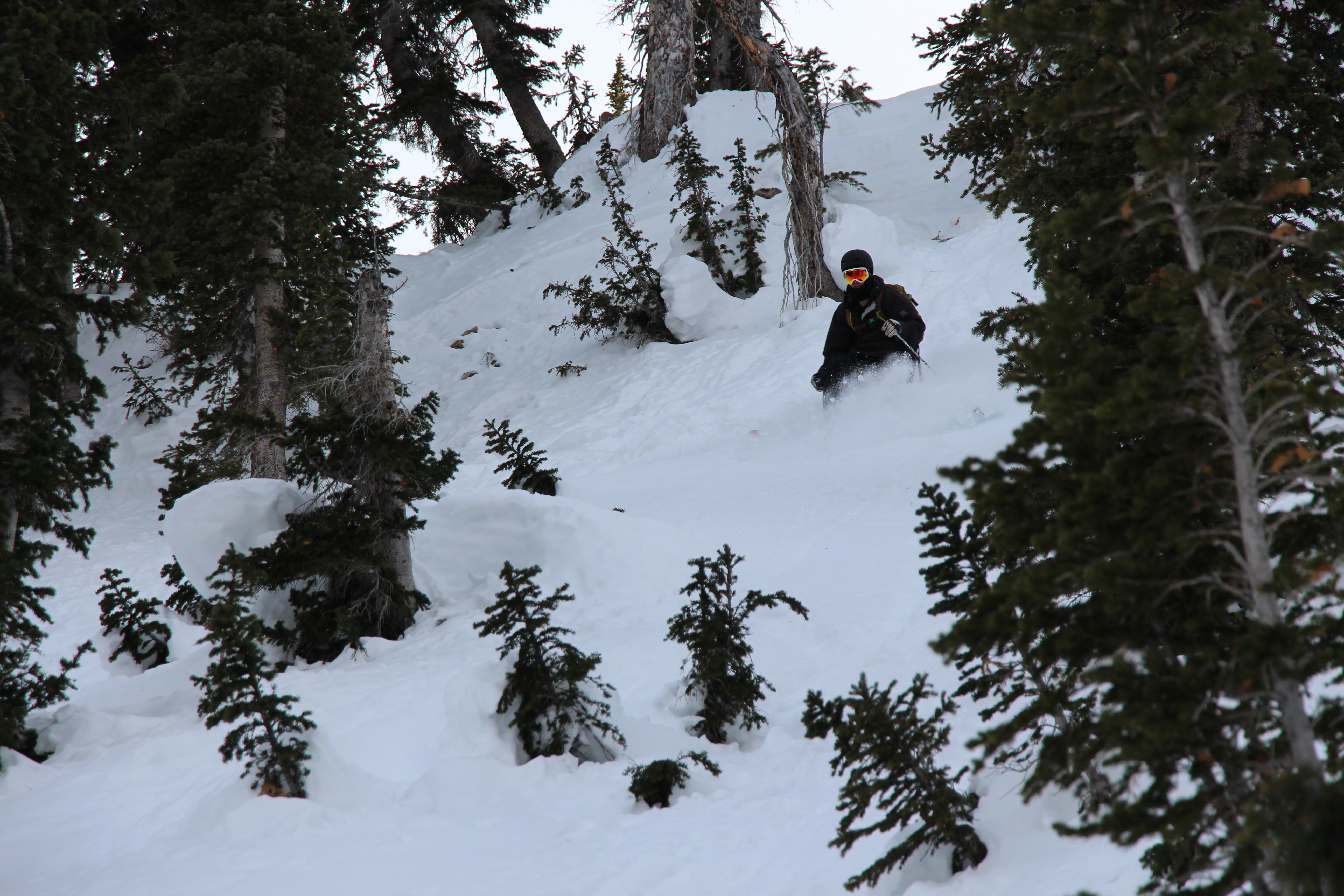 Snowbird Sidecountry