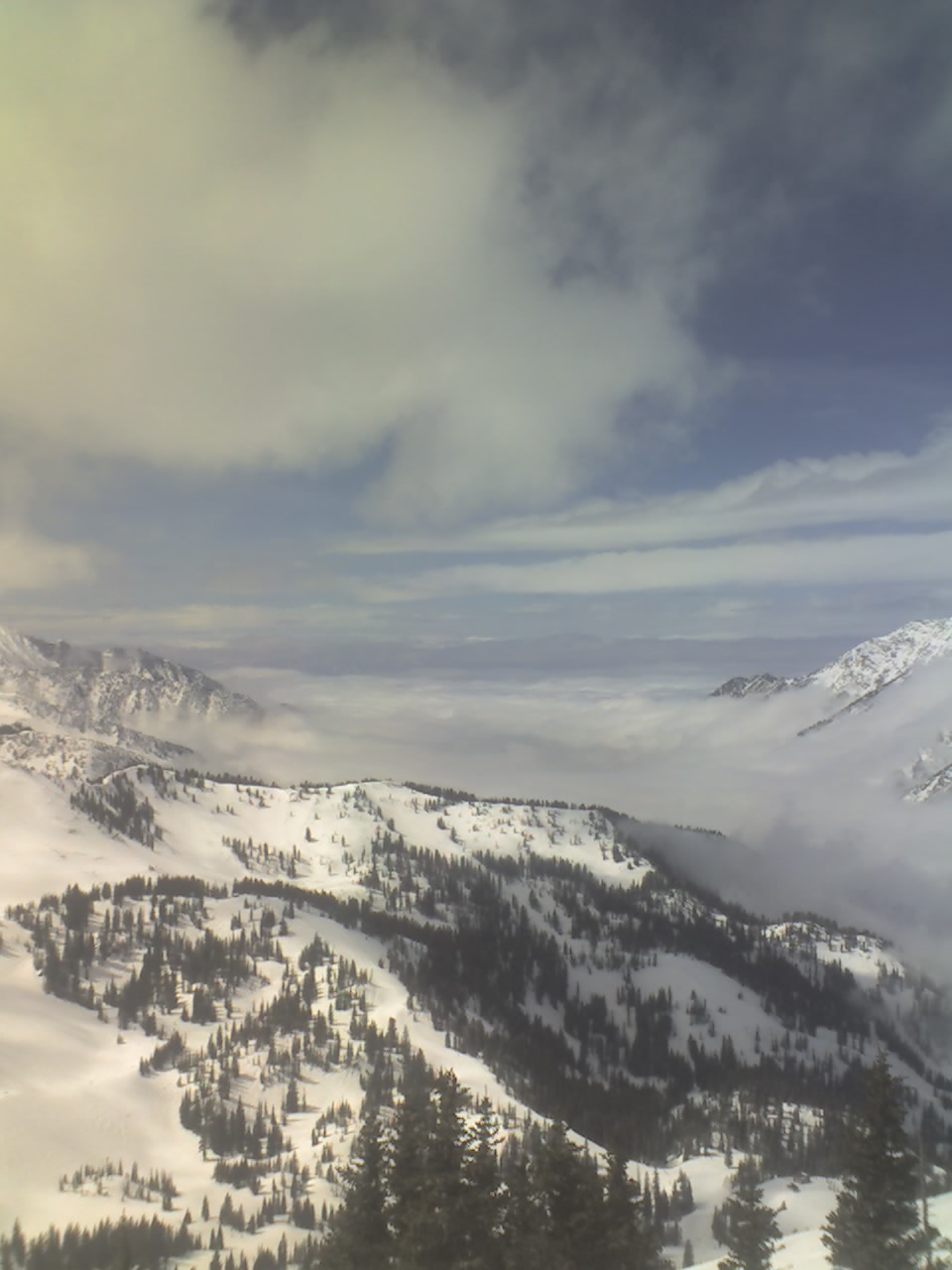 Snowbird yesterday