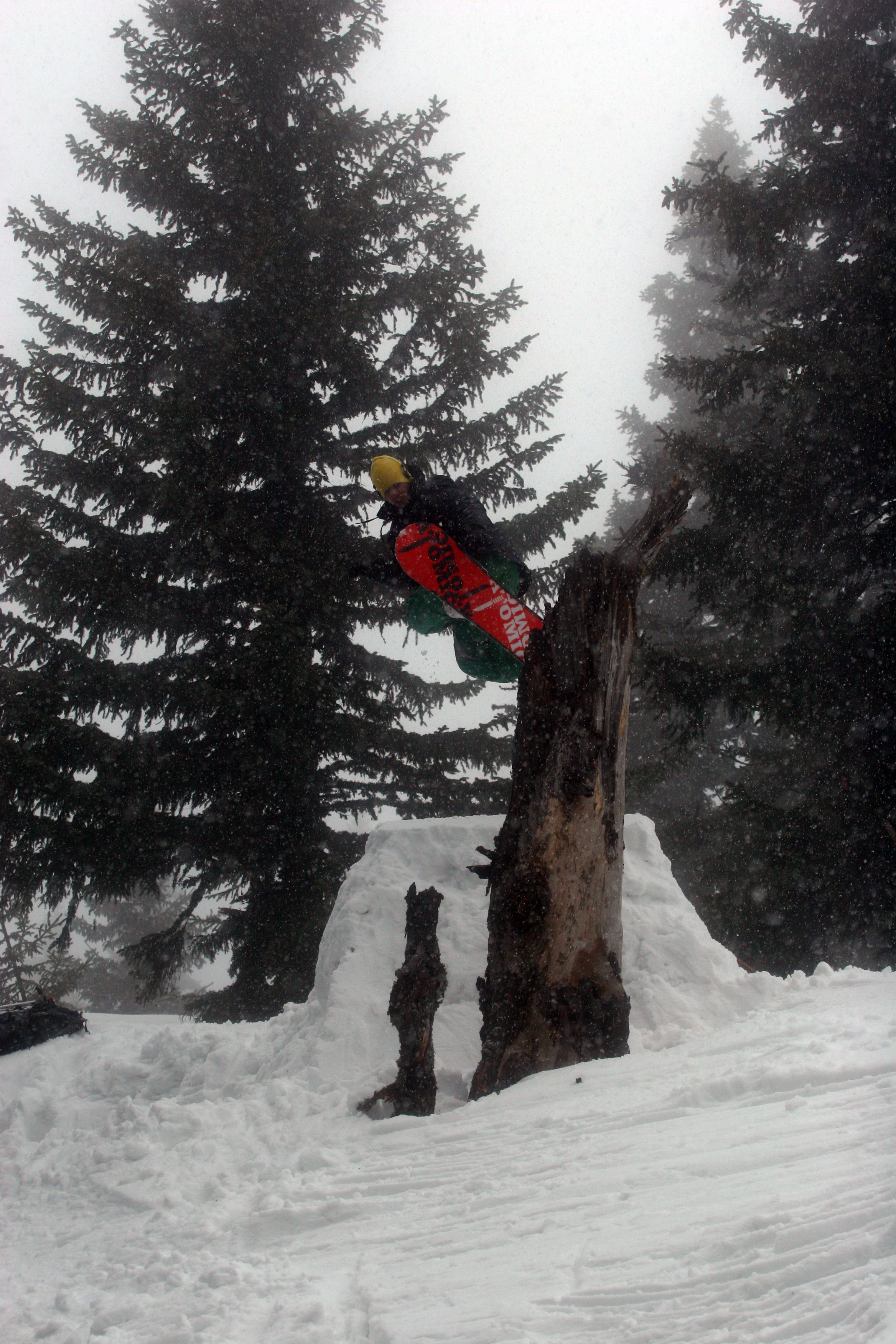 Snowboard treebonk #3