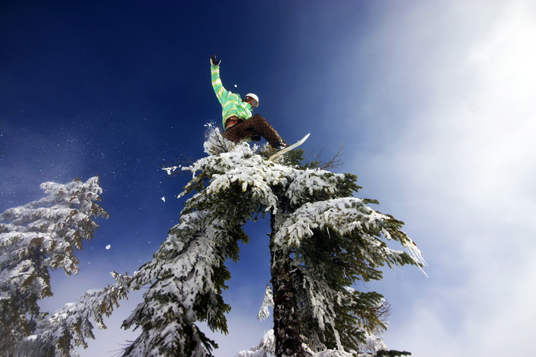 Snowboarder tree tap