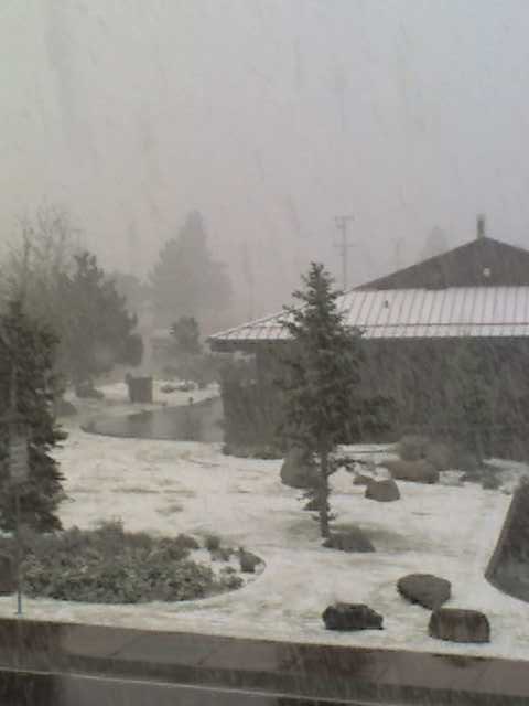 Snowing in mammoth
