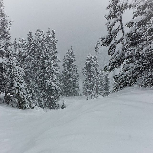 Snowy day @VD chutes