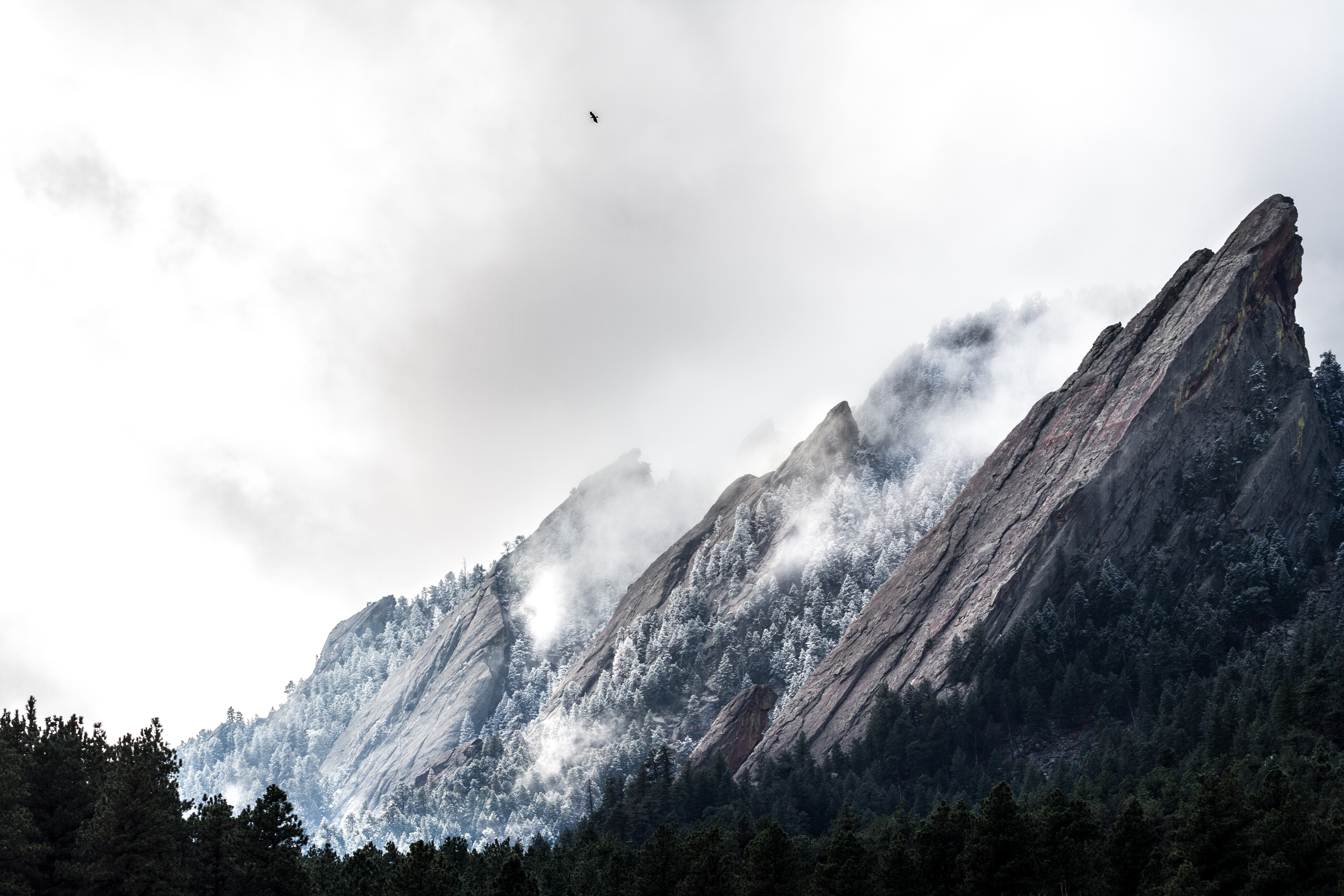 Snowy Flatirons