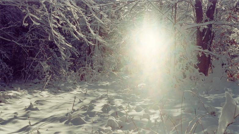 snowy...no...sunny day