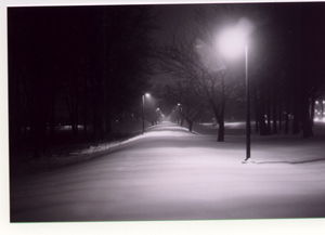 snowy park at night