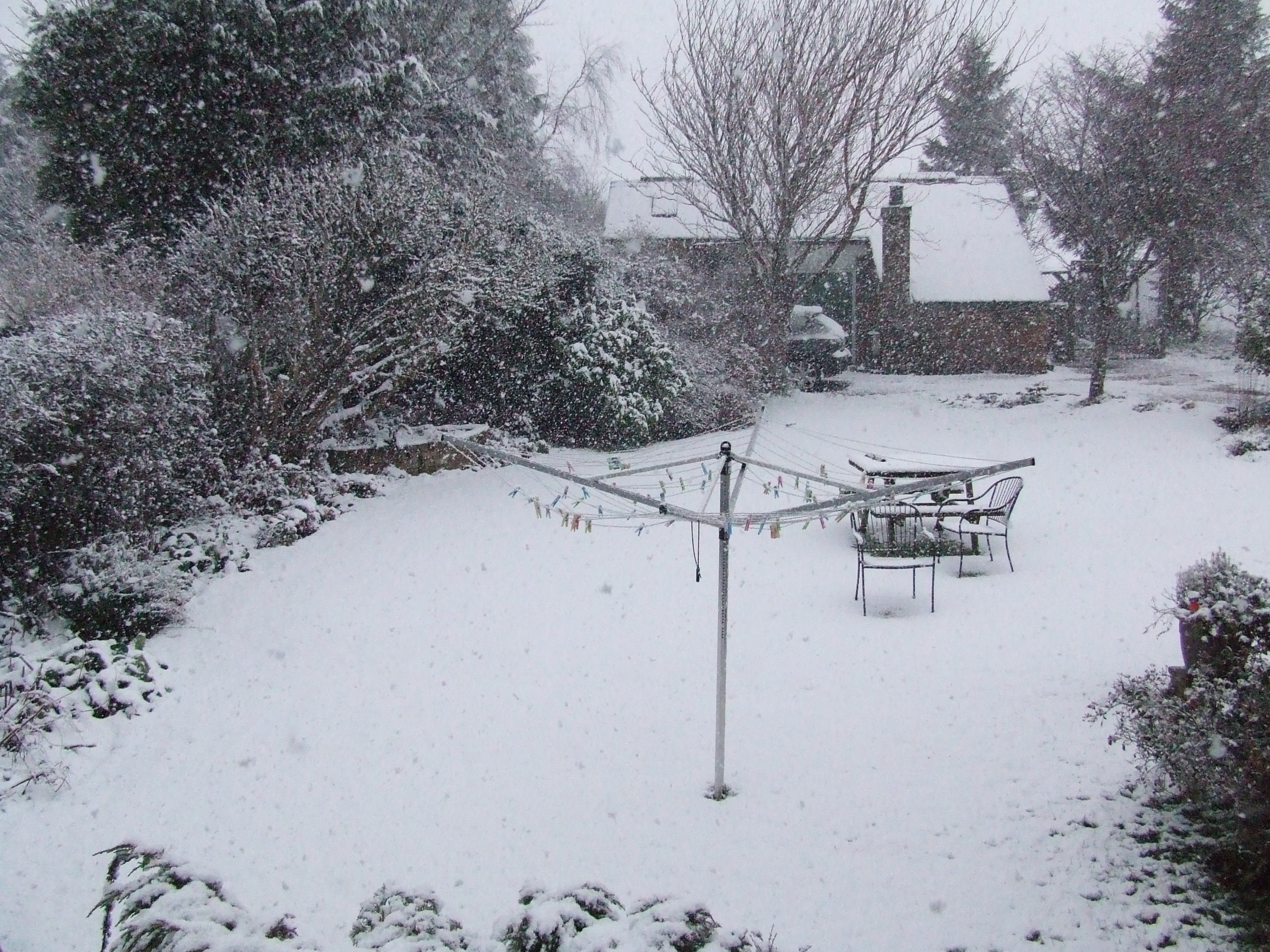 Snowy Snowy Scotland