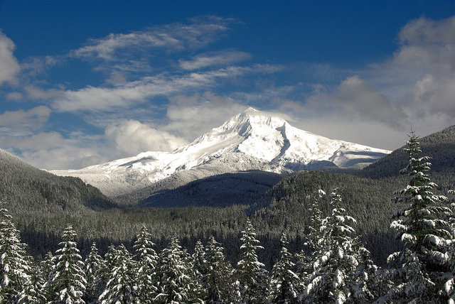 Snowy Timberline, Almost June