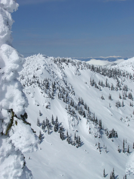 So many lines...so little time