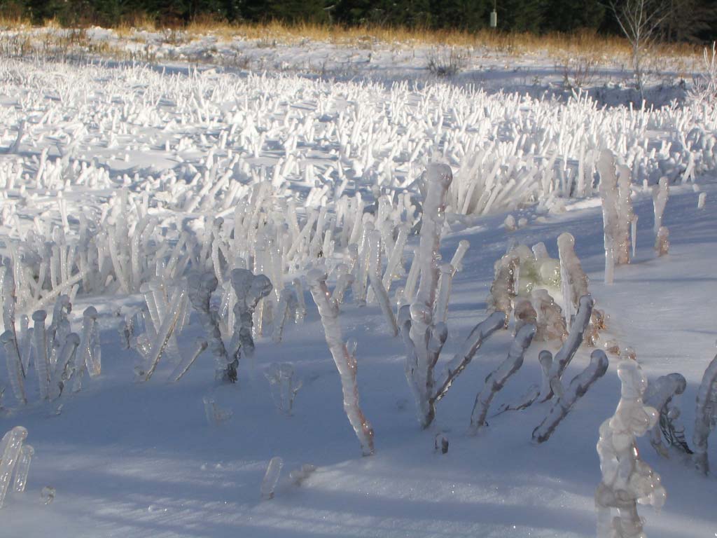 soft and fluffy powder