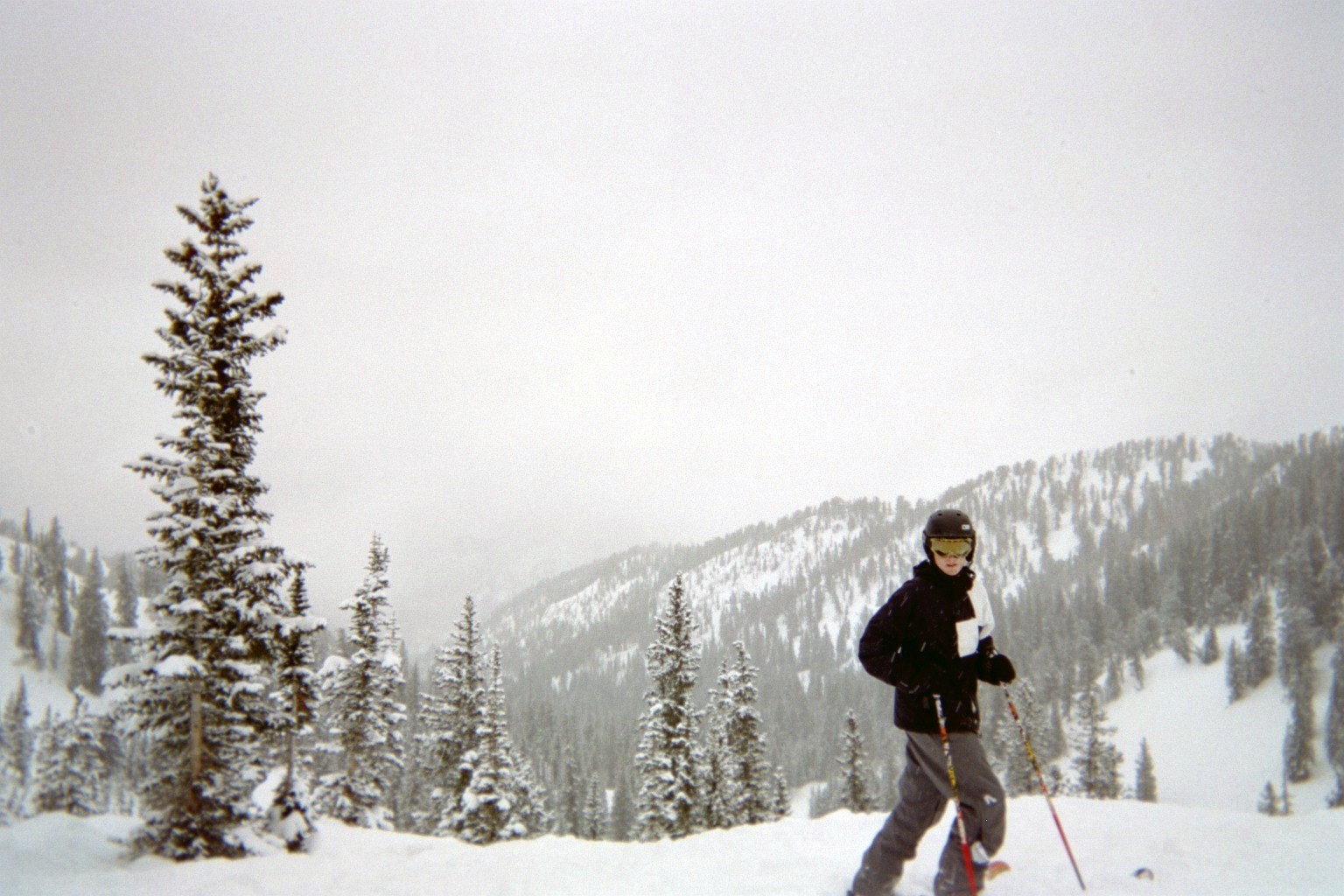 Solitude, UT - Honeycomb Canyon