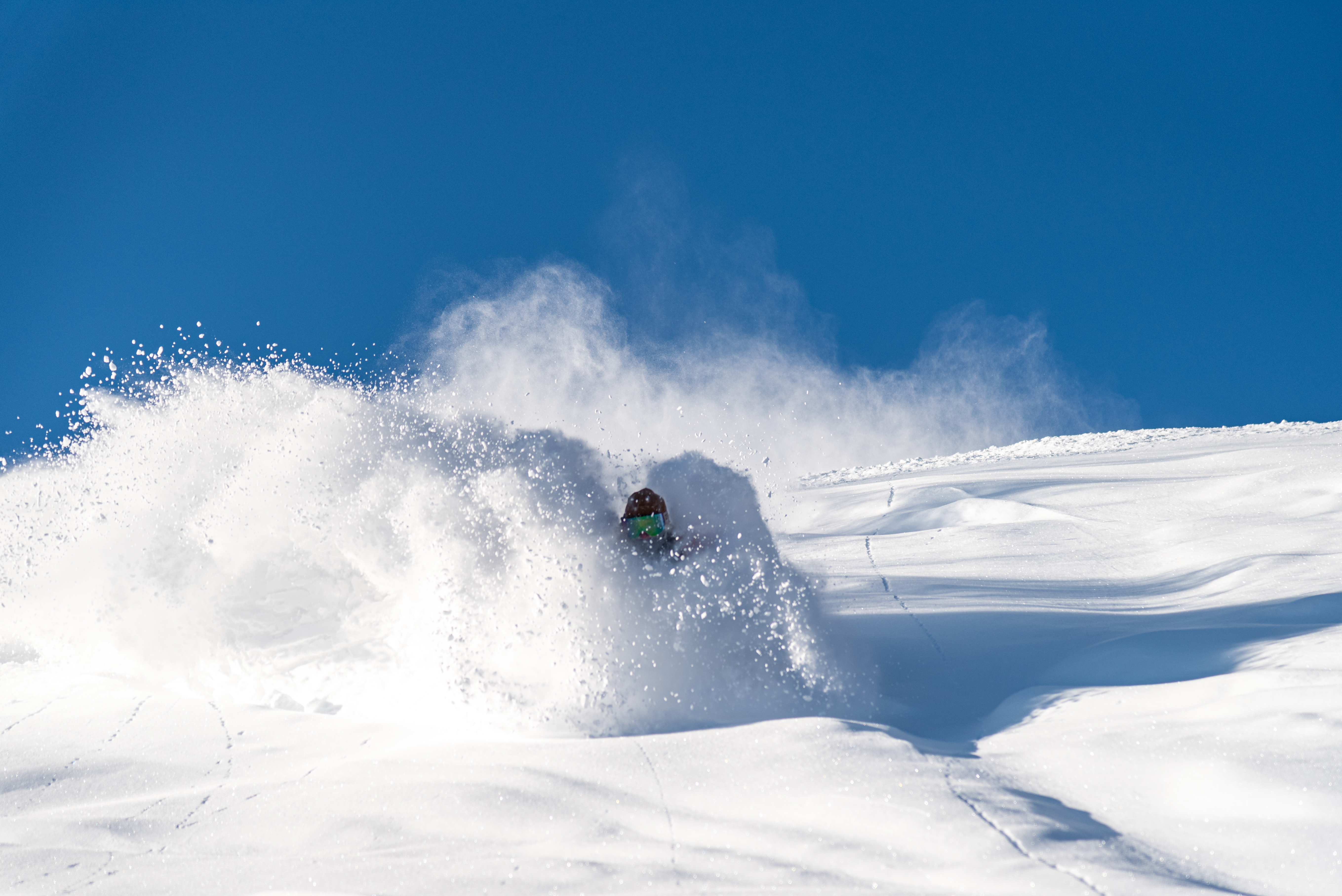 Solitude Utah Blue Bird Pow Day