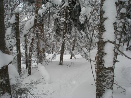 Some eastcoast freshness