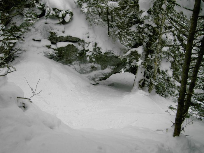 Some nice glades at Stowe.