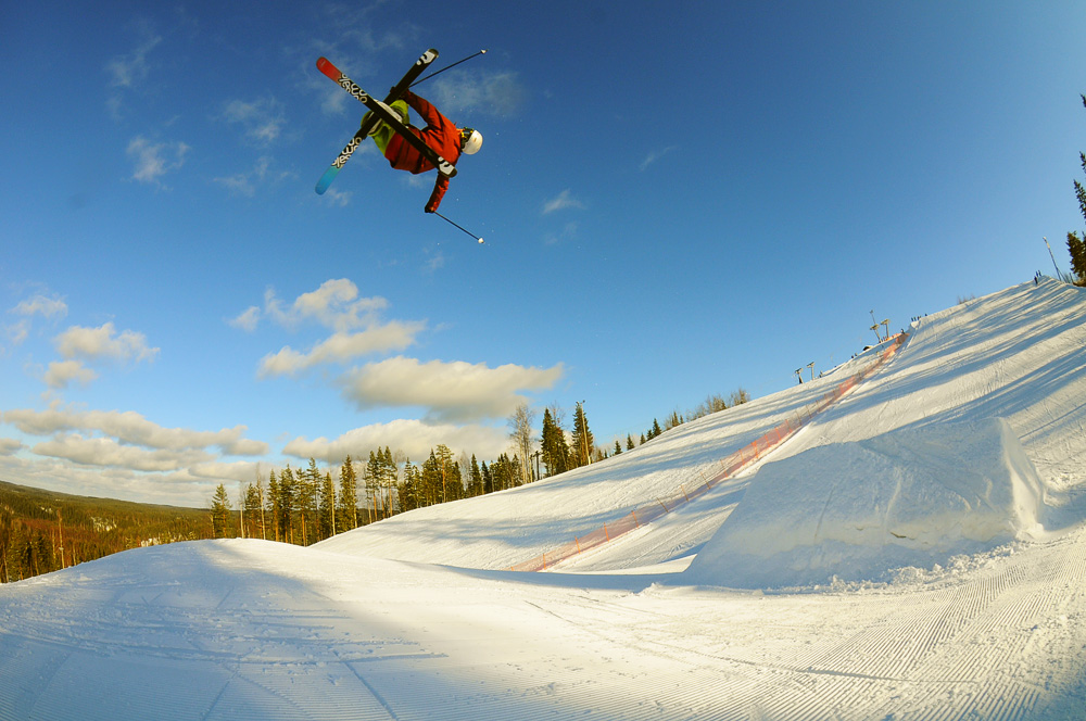 Some of the first sunny pictures this year