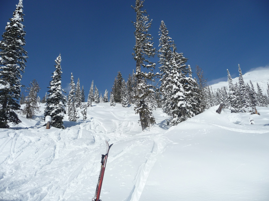 Some pictures from lunch