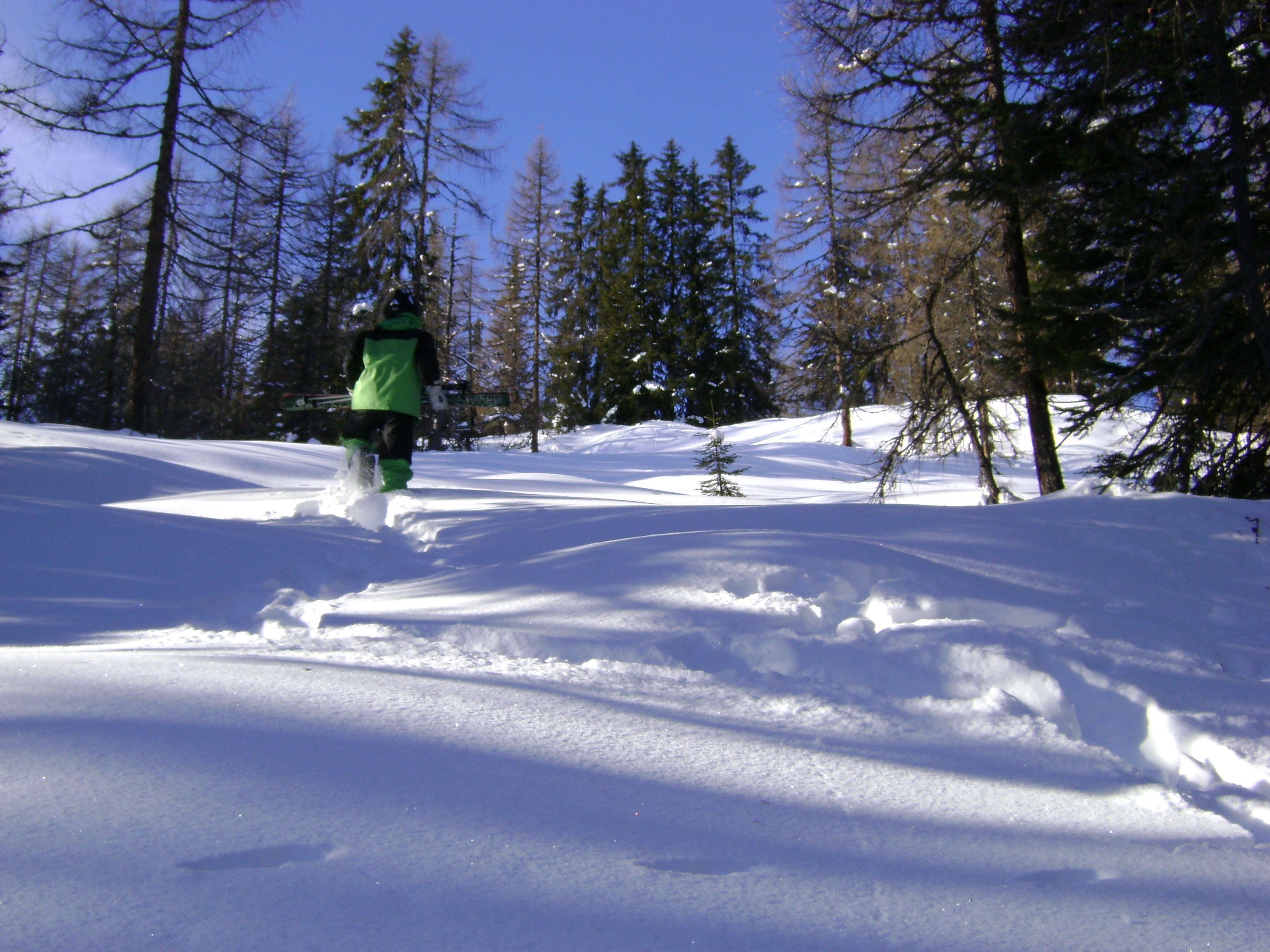 Some pow in da forest