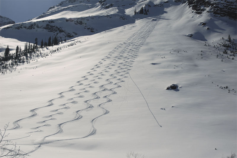 Someone did some farming