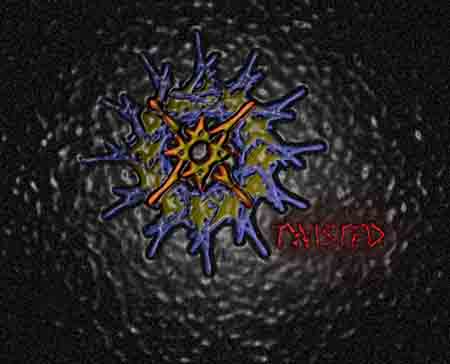 Somethin i made for my graphic design class...