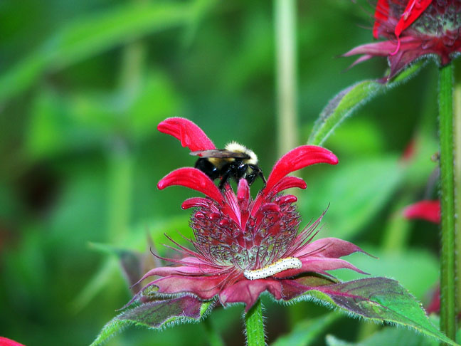 Somewhere near a lake....