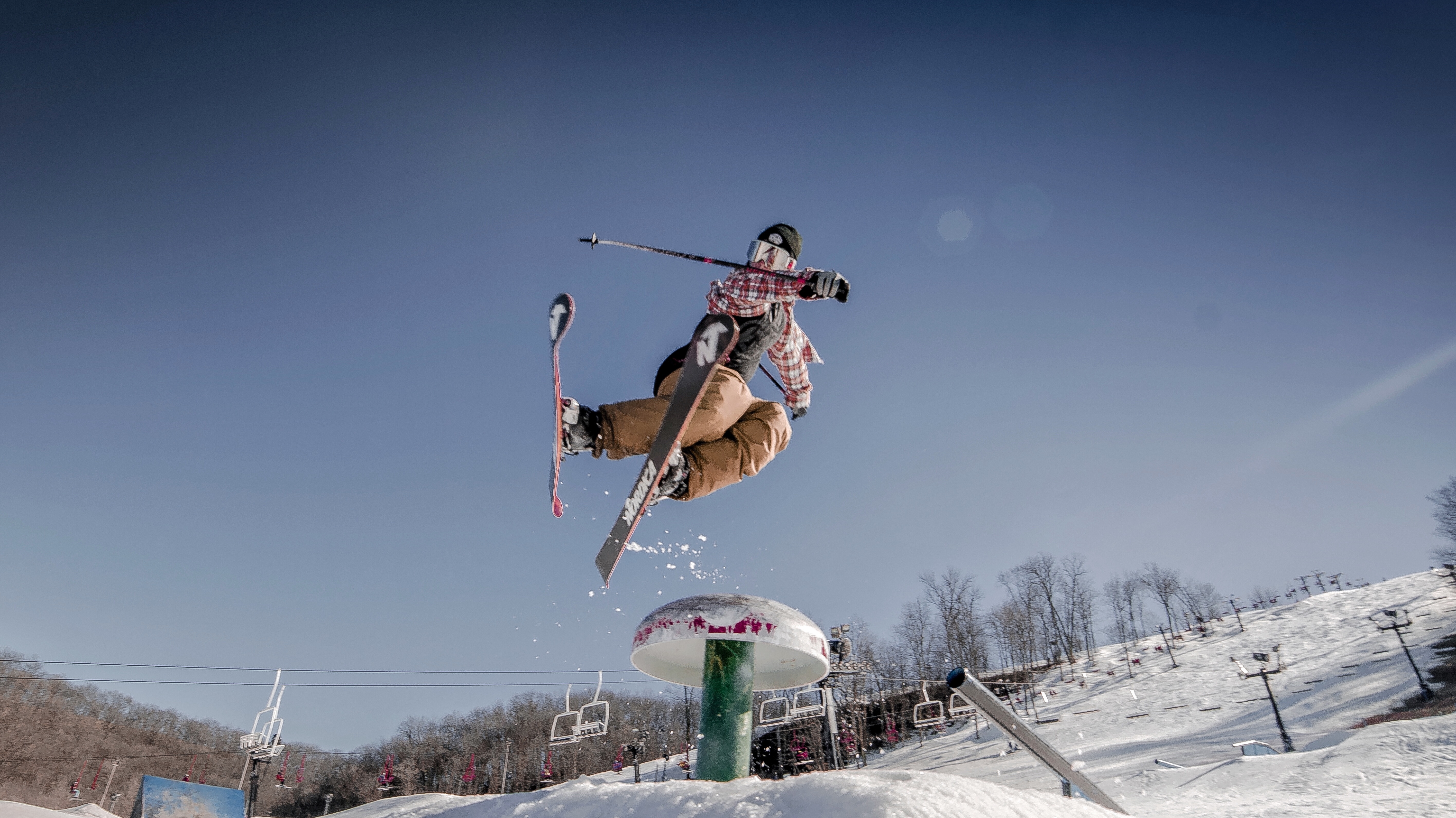 Somewhere Over the Mushroom