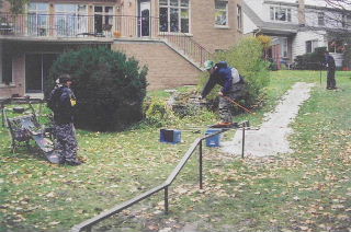 sorry about the bad scan and small size