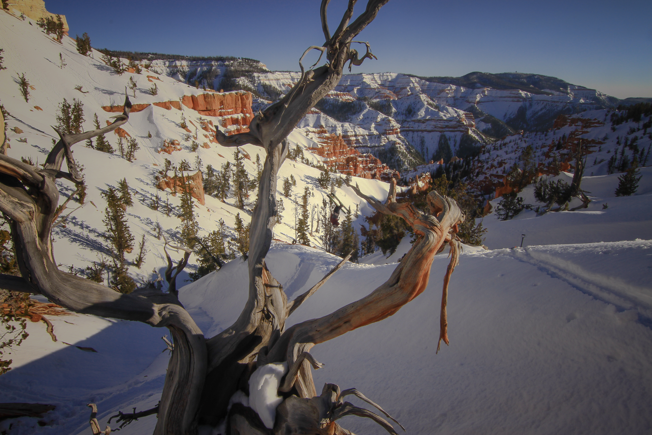 Southern Utah Backflip