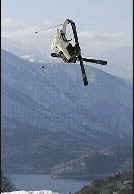 sponsor by VECTOR GLIDE