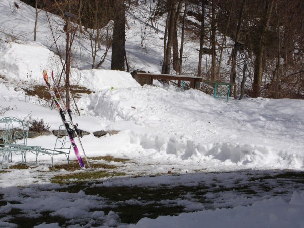 Spring 07 yard setup