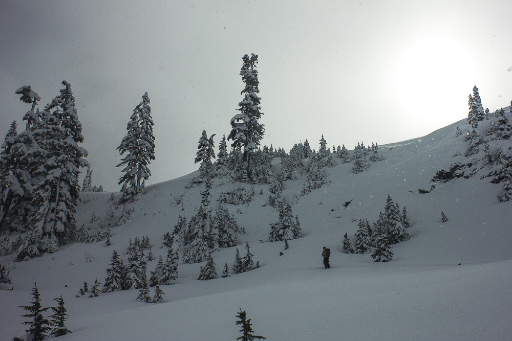 Spring break in Washington